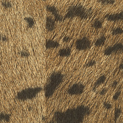 Sauvages | Un trophée mérité | VP 653 07 | Wall coverings / wallpapers | Elitis