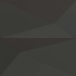 Pira Panel A Anthracite Lacquer Matte | Acoustic ceiling systems | Mikodam