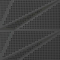 Tora Panel Anthracite Lacquer Matte With 2cm Perforation | Facade | Mikodam