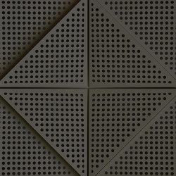 Zeta Panel Anthracite Lacquer With 2cm Perforation | Sound absorbing ceiling systems | Mikodam