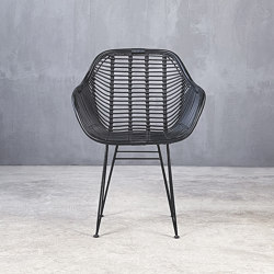 Kanso | Fallon Dining Armchair