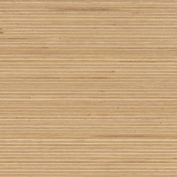 Plexwood - Betulla | Pannelli legno | Plexwood