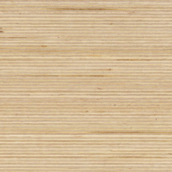 Plexwood - Betulla | Pannelli legno | Plexwood