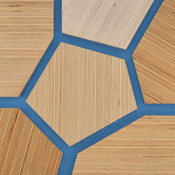 Plexwood - Betulla Blue 58 | Pannelli legno | Plexwood