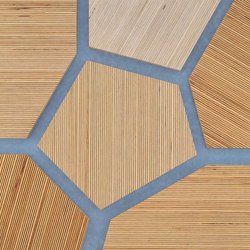 Plexwood - Abedul referencias de color | Planchas de madera | Plexwood