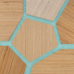 Plexwood - Betulla riferimenti di colore | Pannelli legno | Plexwood