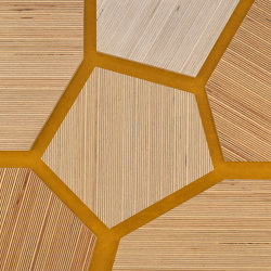 Plexwood - Bouleau références de couleurs | Panneaux de bois | Plexwood