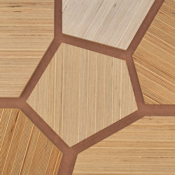 Plexwood - Abedul referencias de color | Planchas de madera | Plexwood