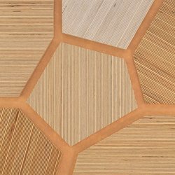 Plexwood - Betulla Brown 77 | Pannelli legno | Plexwood