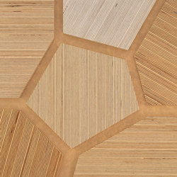 Plexwood - Betulla riferimenti di colore | Pannelli legno | Plexwood