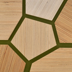 Plexwood - Birke Green 14 | Holz Platten | Plexwood