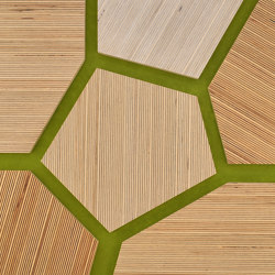 Plexwood - Birke Green 43 | Holz Platten | Plexwood