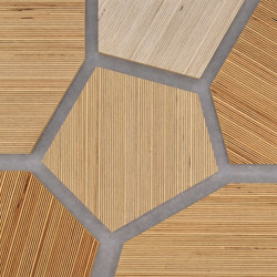 Plexwood - Betulla riferimenti di colore | Pannelli legno | Plexwood