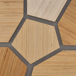 Plexwood - Betulla riferimenti di colore | Pannelli legno | Plexwood