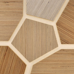 Plexwood - Betulla riferimenti di colore | Pannelli legno | Plexwood