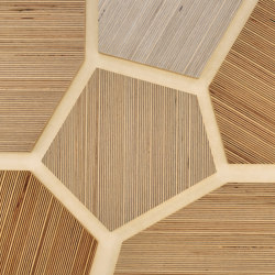 Plexwood - Betulla riferimenti di colore | Pannelli legno | Plexwood