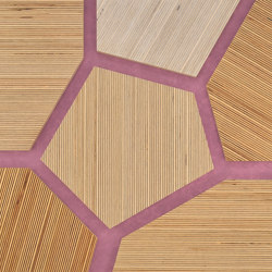 Plexwood - Abedul referencias de color | Planchas de madera | Plexwood