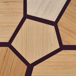 Plexwood - Betulla riferimenti di colore | Pannelli legno | Plexwood