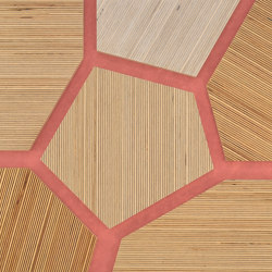 Plexwood - Abedul referencias de color | Planchas de madera | Plexwood