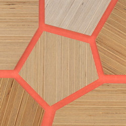 Plexwood - Betulla riferimenti di colore | Pannelli legno | Plexwood