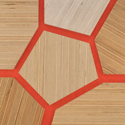 Plexwood - Betulla Red 19 | Pannelli legno | Plexwood