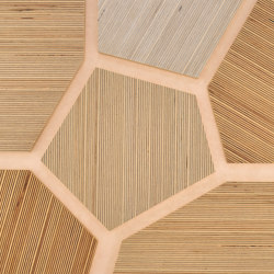 Plexwood - Bouleau références de couleurs | Panneaux de bois | Plexwood