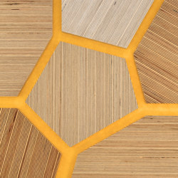 Plexwood - Bouleau références de couleurs | Panneaux de bois | Plexwood