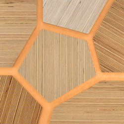 Plexwood - Abedul Yellow 09 | Planchas de madera | Plexwood