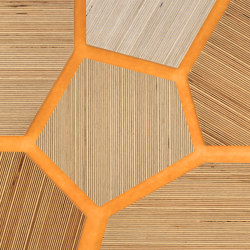 Plexwood - Betulla riferimenti di colore | Pannelli legno | Plexwood