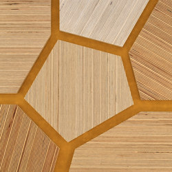 Plexwood - Abedul referencias de color | Planchas de madera | Plexwood