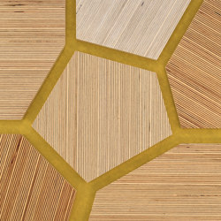 Plexwood - Betulla riferimenti di colore | Pannelli legno | Plexwood