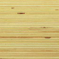 Plexwood - Poplar | Wood panels | Plexwood