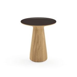 Foster 620 Side Table | Tavolini alti | Walter K.