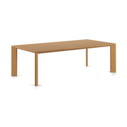 Foro 240X120 | Dining tables | viccarbe