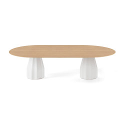 Burin 240x120 H74 | Dining tables | viccarbe