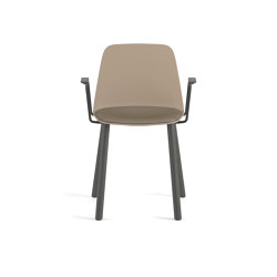 Silla Maarten Plastic - base de cuatro patas de madera con cojín | Chairs | viccarbe