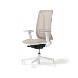 Ace - Task chairs | Chaises de bureau | Diemme