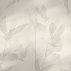 Feelings AP131-1 | Wall coverings / wallpapers | RIMURA