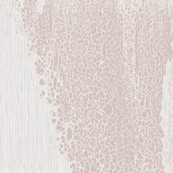 Skin AP222-1 | Wall coverings / wallpapers | RIMURA