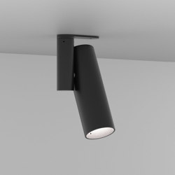 Vector Pivot Black (Ceiling Config) | Lámparas exteriores de techo / plafón | Dexter