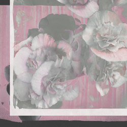 Rose | Wall coverings / wallpapers | TECNOGRAFICA