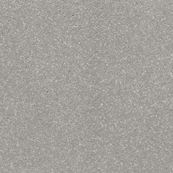 luce silver | silvergrey | ferro | Panneaux de béton | Rieder