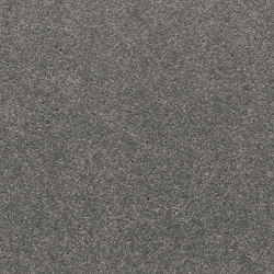 standard | anthracite | ferro | Panneaux de béton | Rieder