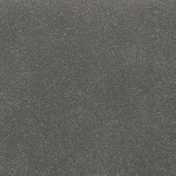 standard | anthracite | ferro light | Panneaux de béton | Rieder