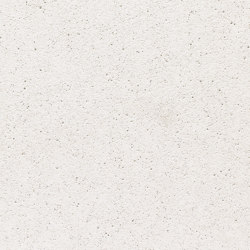 standard | polar white | ferro