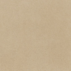 standard | sandstone | matt