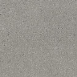 standard | silvergrey | ferro light | Beton Platten | Rieder