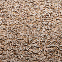 Cork Oak Polo Earth | Panneaux composites | Artstone