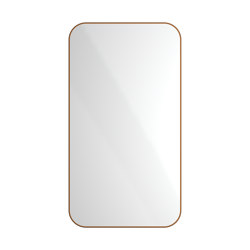 Radius | PVD Bronze Wall Mount Mirror / Rectangular | Bath mirrors | The Splash Lab