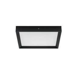 Tara Emergency | Lampade plafoniere | Linea Light Group